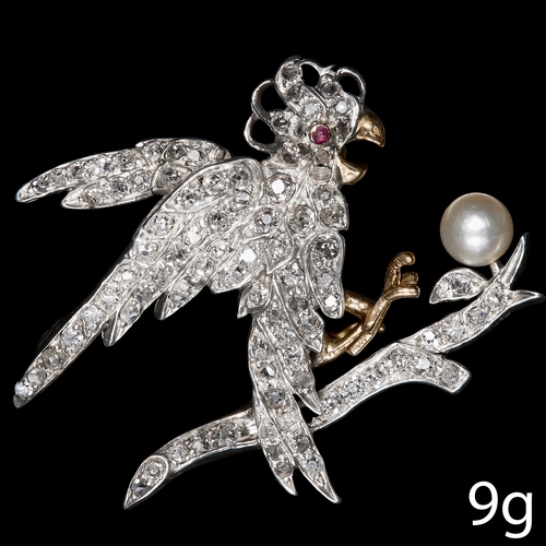 Lot 9         