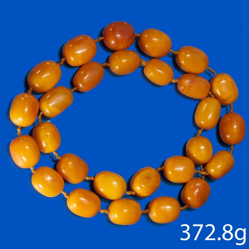 161 - SAC FRERES, OLD BOND STREET. IMPORTANT LARGE BUTTERSCOTCH/EGG YOLK BALTIC AMBER BEAD HAND KNOTTED NE... 