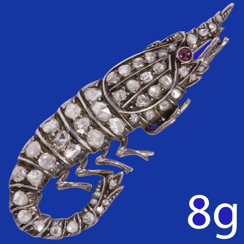 Lot 54        