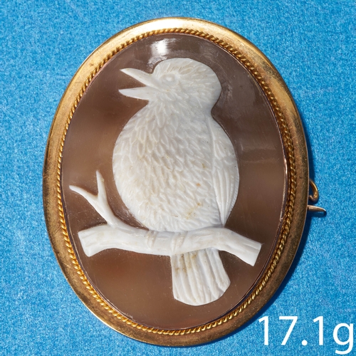 145 - AUSTRALIAN GOLD KOOKABURRA SHELL CAMEO BROOCH 
17.1 grams, indistinct Australian hallmarked.
beautif... 