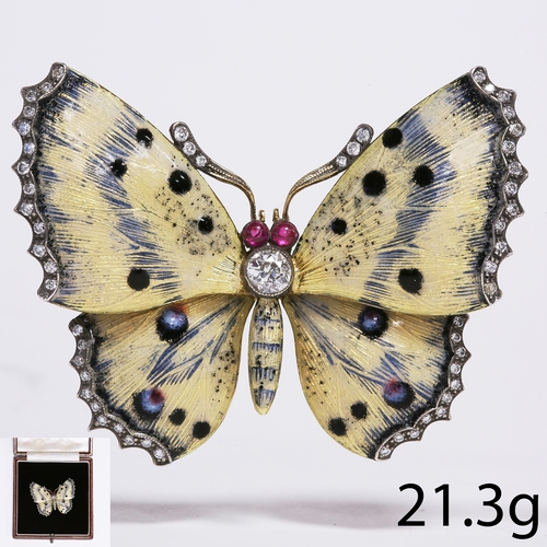 Lot 24        