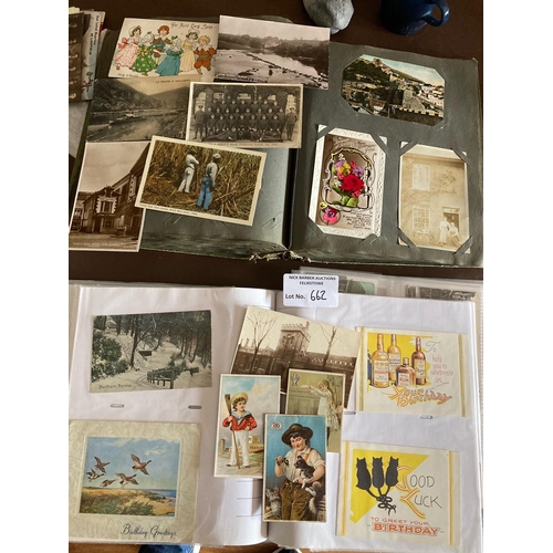 662 - Postcards : 2 albums of cards RPs, topo, comic etc great lot - 100s super mixed lot