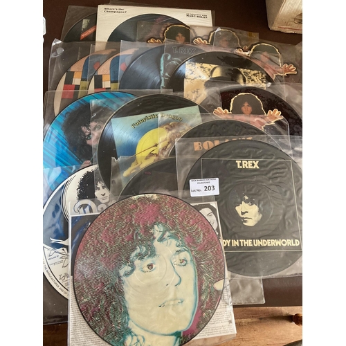 203 - Records : T-REX/MARC BOLAN 17 picture discs generally decent conditions - great lot