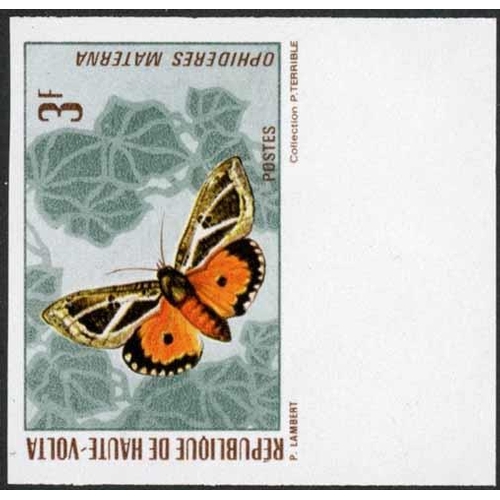 3129 - BUTTERFLIES - LEPIDOPTERA - THE COMPREHENSIVE COLLECTION PRESENTED IN FORTY TWO WELL FILLED VOLUMES ... 