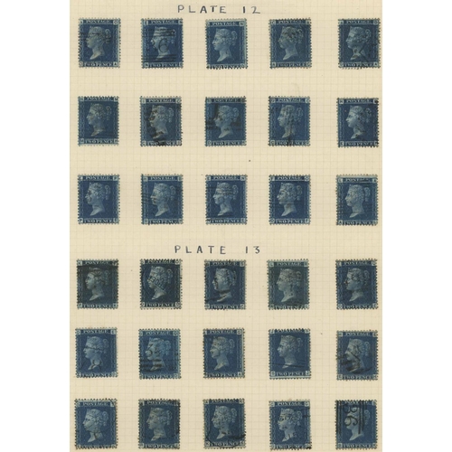 Lot 3786      