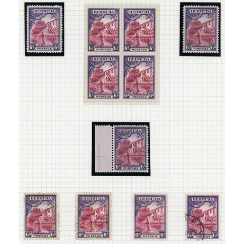 1249 - 1936-47 PICTORIALS - MINT & USED STUDY ON PAGES - duplicated examples of each value inc. 6d claret &... 