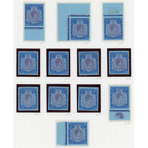 1254 - 1938-53 2/- PURPLE & BLUE (SHADES) EXTENSIVE GROUP - with purple & (mottled) blue SG116c blocks of 4... 