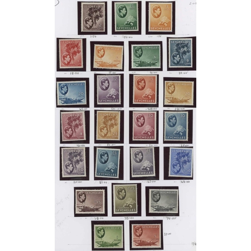 Lot 61        
