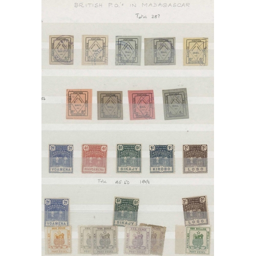 Lot 65        