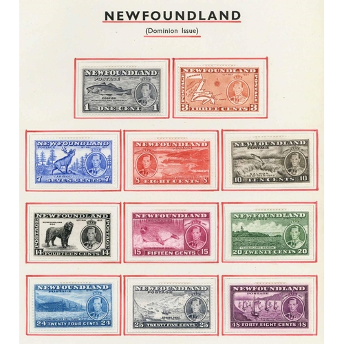 Lot 76        