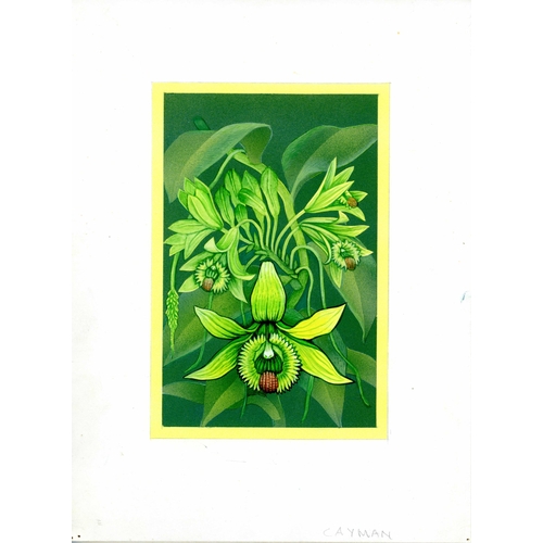 358 - SYLVIA GOAMAN ORIGINAL ARTWORK - 1971 WILD ORCHIDS ISSUE: Eleven original pencil sketches and 5 colo... 