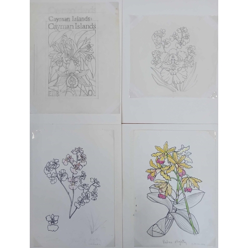 358 - SYLVIA GOAMAN ORIGINAL ARTWORK - 1971 WILD ORCHIDS ISSUE: Eleven original pencil sketches and 5 colo... 