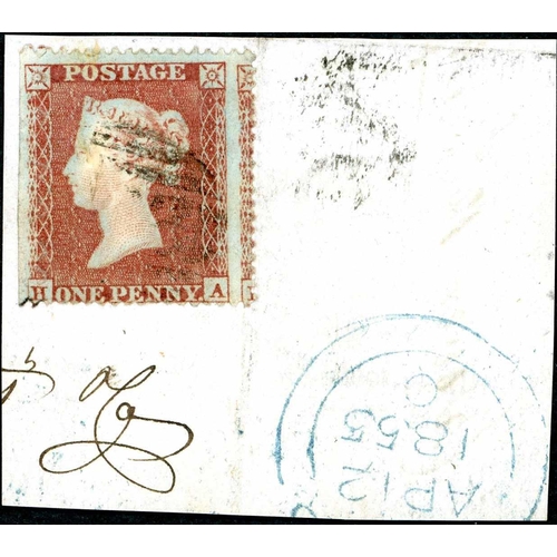 Lot 1147      