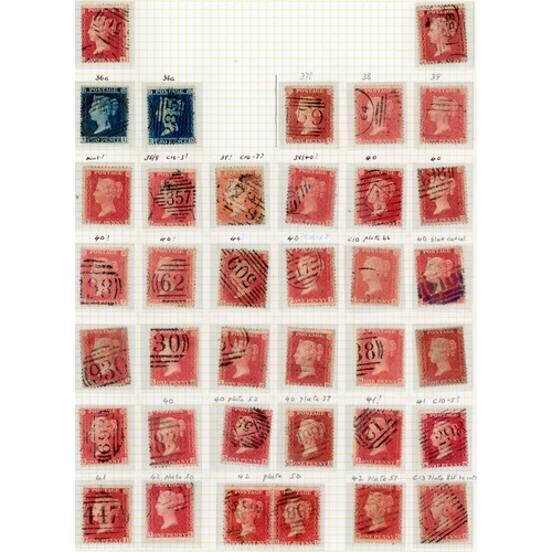 Lot 52        