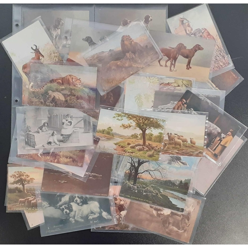 450 - RAPHAEL TUCK ANIMAL PPCs: A mixture of used and unused cards. Mainly 'Oilettes' (32) but also inc. '... 