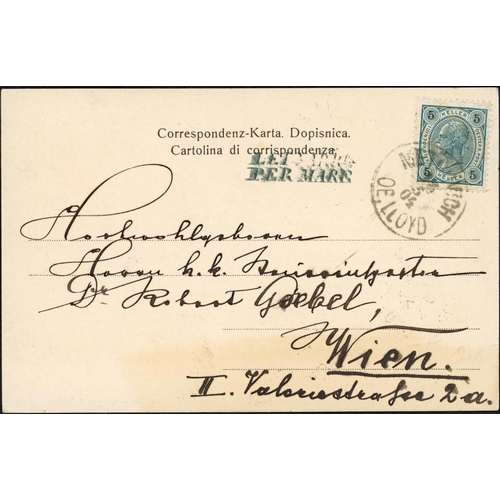 186 - AUSTRIA - NAMED SHIP HS & PPCs: 1897-1914 collection of named ship hand stamps inc. 1897 Company PPC... 