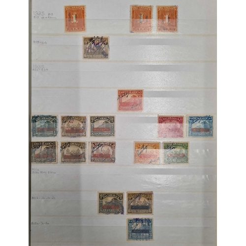 76 - NICARAGUA: Two large stock books with early to middle period, mint & used collections. Includes Offi... 