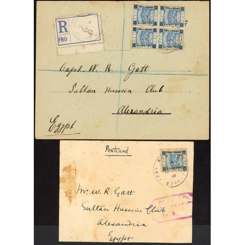 718 - 1918 BMA COVERS inc. 1p pairs on regd. Es ex APO SZ 44 (2), 5m block of 4 on similar E plus a single... 