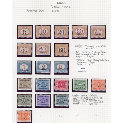 98 - ITALIAN COLONIES IN AFRICA: Fine mint ranges written up and presented on album leaves. Many good com... 