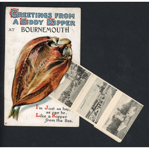 1108 - BOURNEMOUTH - NOVELTY PULL OUT POSTCARDS: 1913-60 A group of eleven novelty concertina pull out card... 