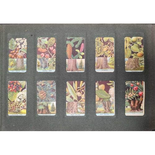 397 - APPARENTLY COMPLETE SETS OF CARDS: Three old cigarette card albums containing cards covering a wide ... 