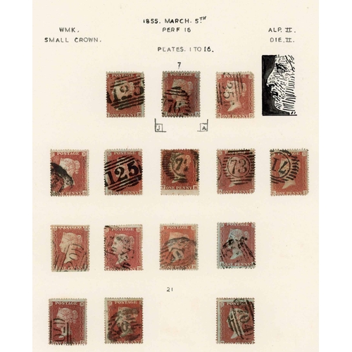 956 - 1855 DIE II ALPHABET II ON BLUED PAPER: The used selection with SC14 (4, inc. two on covers), SC16 (... 