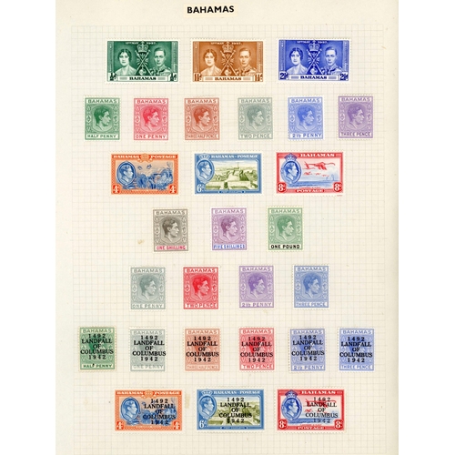 Lot 14        