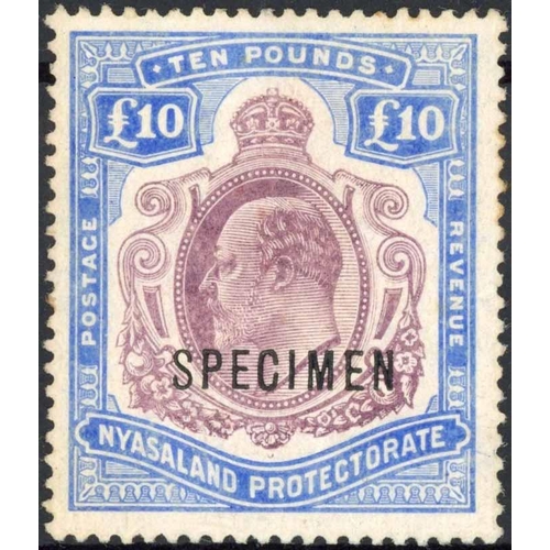 Lot 317       