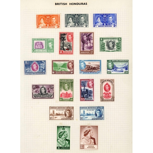 Lot 48        