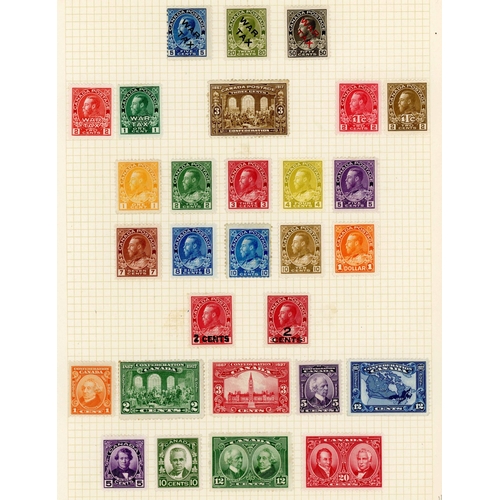 Lot 61        