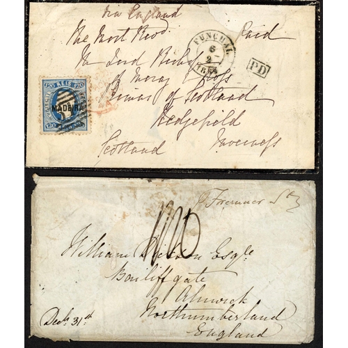 Lot 101       
