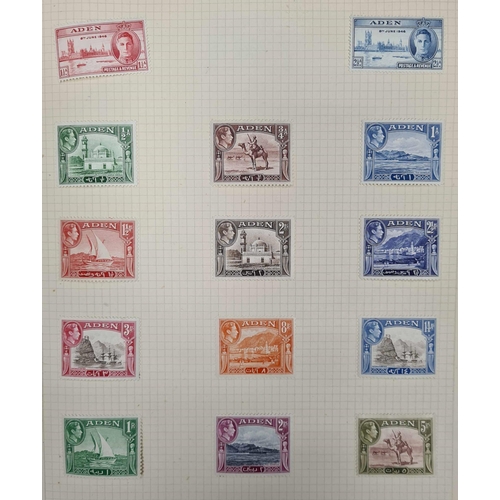 Lot 12        
