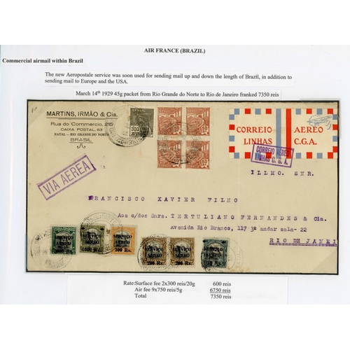 Lot 197       