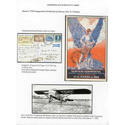 Lot 216       
