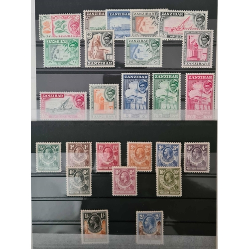 Lot 36        