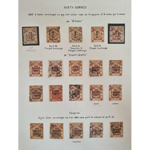 Lot 48        