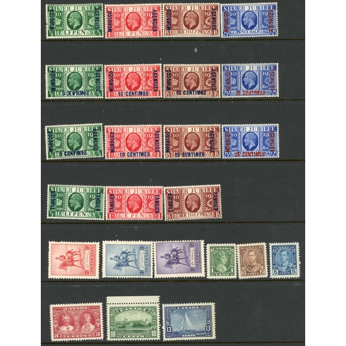 Lot 55        