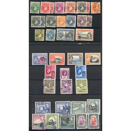 Lot 46        