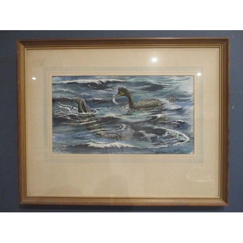 221 - John Tennent - 'Shags Fishing', watercolour, signed and dated 1974 lower right corner, 8