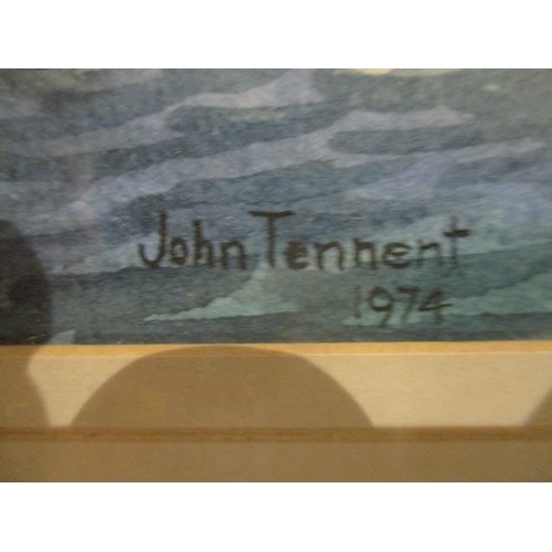 221 - John Tennent - 'Shags Fishing', watercolour, signed and dated 1974 lower right corner, 8