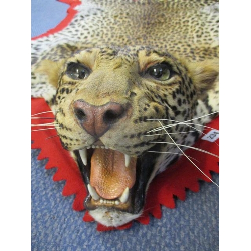 234 - A complete leopard skin with a mounted, snarling head, on a red felt and black fabric backing, prepa... 