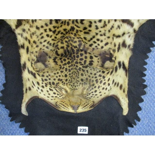 235 - A complete leopard skin with a flattened head on a black felt and fabric backing, prepared by Rowlan... 