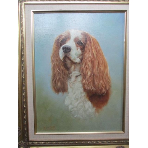 193 - WITHDRAWN  Edwin Booth - a study of a head and shoulders of a King Charles Spaniel, oil on canvas si... 