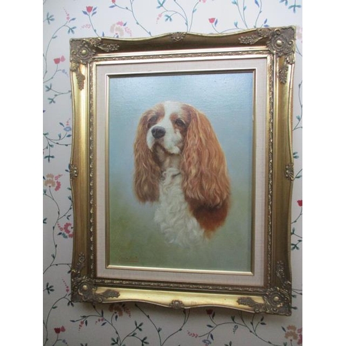 193 - WITHDRAWN  Edwin Booth - a study of a head and shoulders of a King Charles Spaniel, oil on canvas si... 