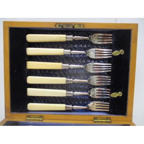 245 - A set of six Victorian silver fish knives and forks by Rowlands & Frazer, Sheffield 1901, engraved w... 