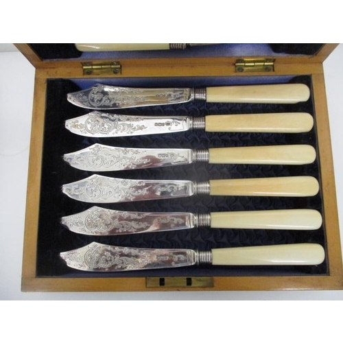 245 - A set of six Victorian silver fish knives and forks by Rowlands & Frazer, Sheffield 1901, engraved w... 