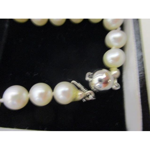 240 - A single strand pearl necklace with an 18ct white gold, ball clasp