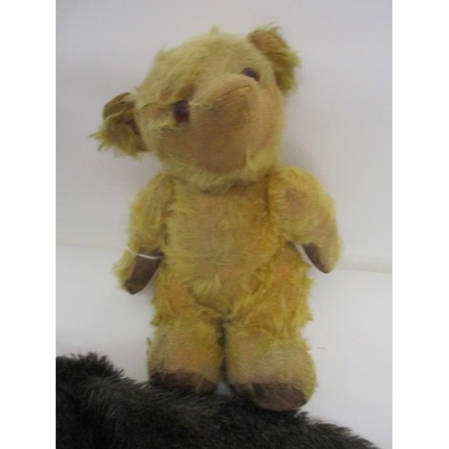 28 - An early 20th century teddy bear with golden mohair, amber glass eyes, pointed muzzle and rexine pad... 