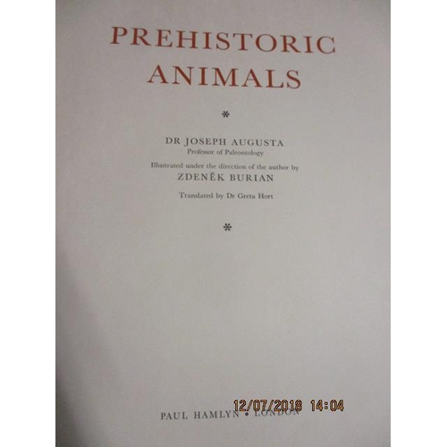 307 - A collection of hardback books to include a 1923 Westward Ho by Charles Kingsley and an 1890 Early D... 