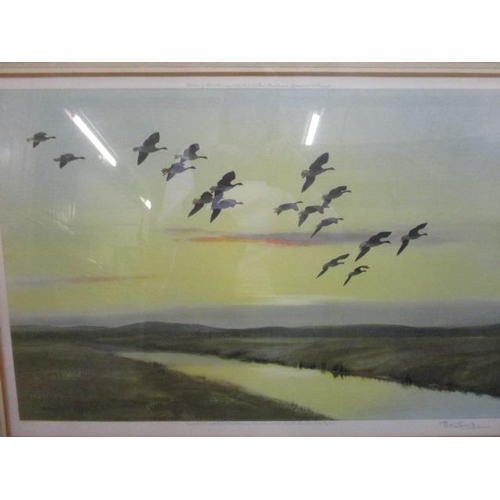 183 - Peter Scott - Morning Flight Over The Marsh Pink Feet, print, 21